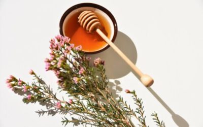 Honey: An Immunity Booster